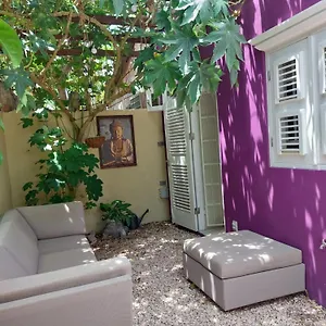 purple-house-in-colorful-city-centre.comcaribbean.com/